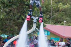 181731 Zeus_Edwards