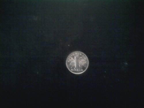 one dollar coin2.jpg