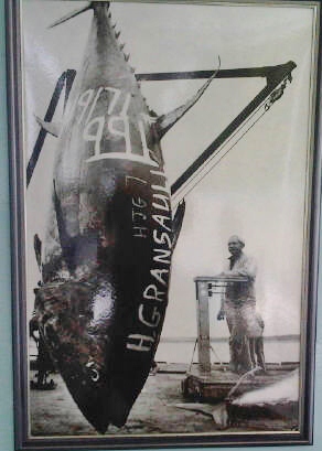 IMG00014-20120617-0928.jpg