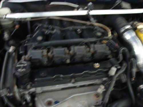 DSC01463.JPG