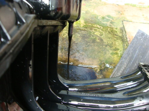 DSC01487.JPG