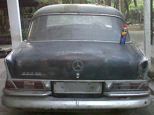 w111.jpg