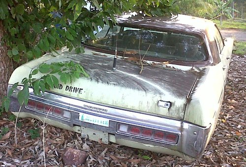 car1.jpg