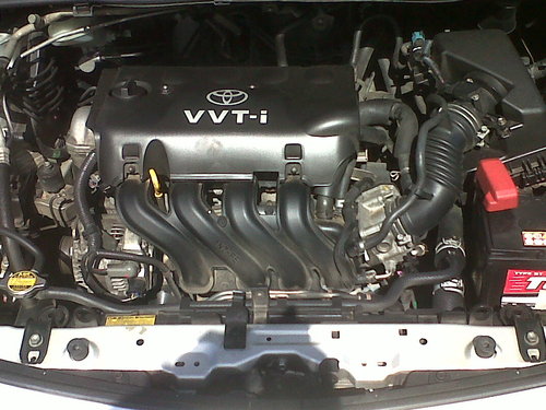 IMG-20121107-00489.jpg
