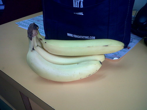 IMG00427-20101014-1023.jpg