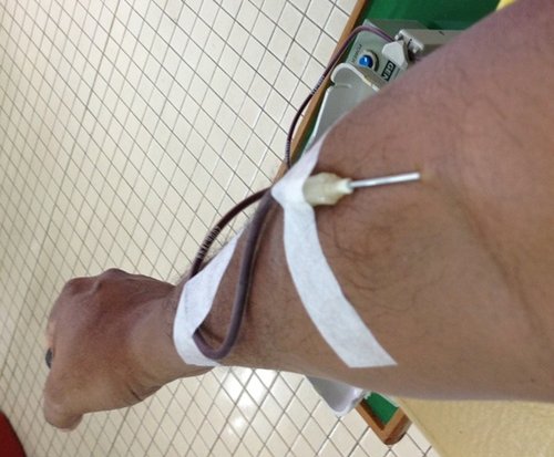 needle.jpg