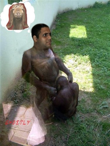 very-naughty-animals1.jpg