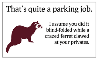 bad-parallel-parking-thats-quite-a-parking-job-funny-cards.png