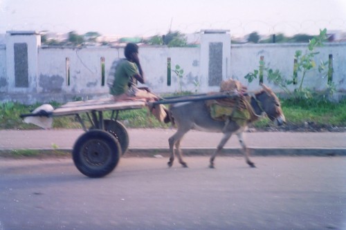 Boy_donkey_cart_Mogadishu.jpg