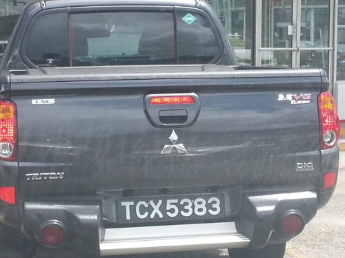 CNGtriton2.jpg