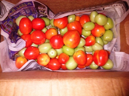 IMG-20130825-00126.jpg