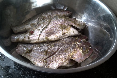 IMG-20131005-00479.jpg