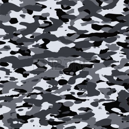 camo.jpg