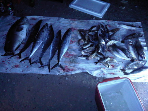 IMG00745-20100508-1940.jpg