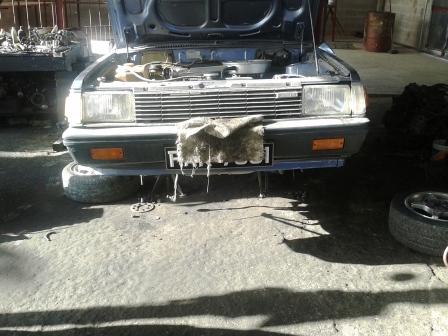 Car on stands.jpg
