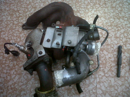 IMG00106-20110203-1541.jpg