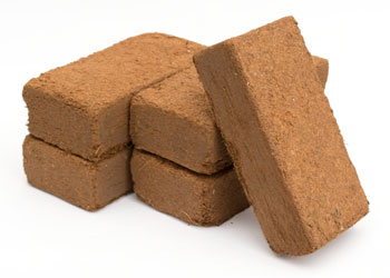mo_coir_003_650.jpg