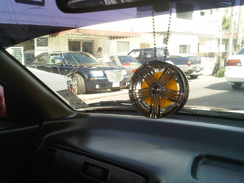 IMG00103-20110215-0922.jpg