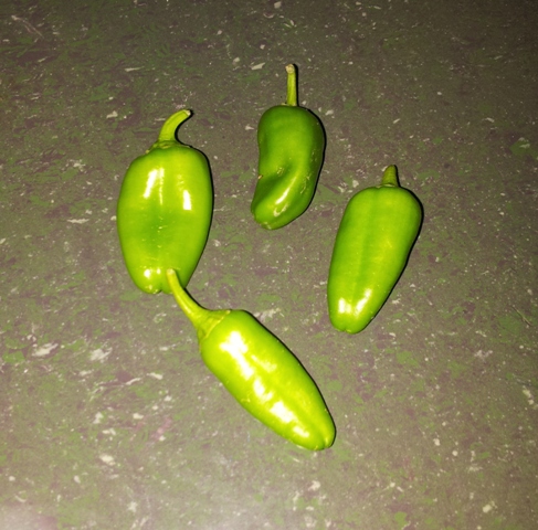 20140817_204015.jpg