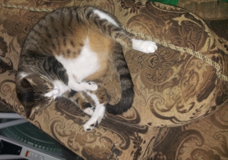 20140722_084740.jpg