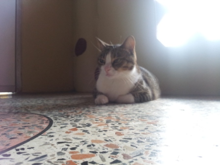 20140806_082423.jpg