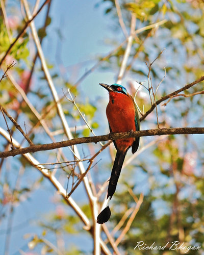 DSC_0036_01.JPG