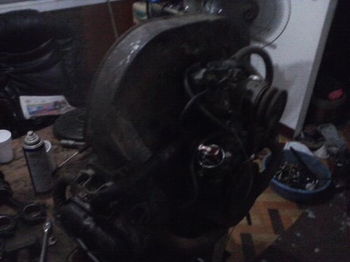 P11-01-10_19-16.jpg