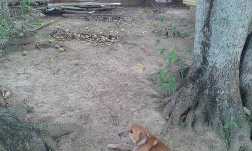 20150619_160527.jpg