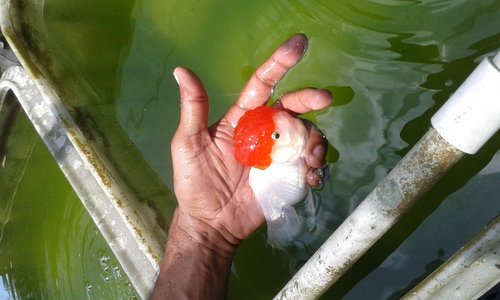 20160330_130541.jpg