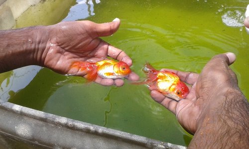 20160330_131203.jpg