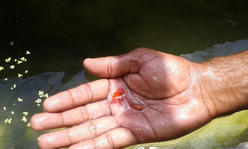 20160330_130609.jpg