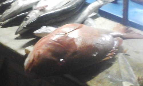 20160722_195510.jpg