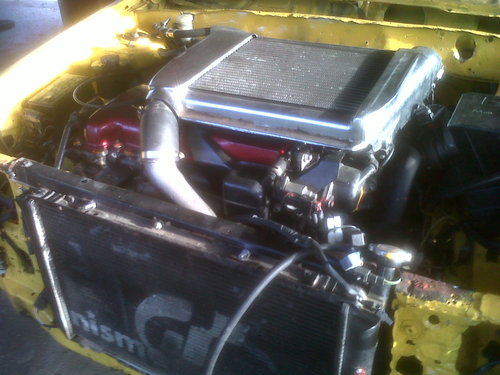 IMG00342-20110620-1718.jpg