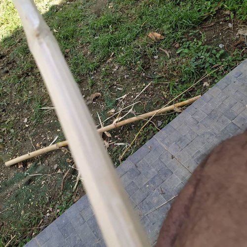 IMG_20210406_135709.jpeg