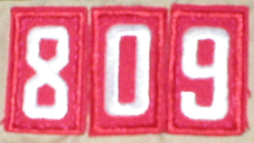 809.jpg