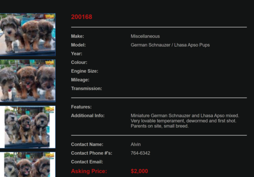 Dogs.png