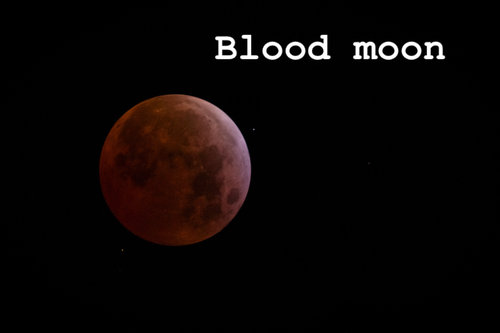 B7903751-6EF9-432C-AD5C-CDA4EC75B0E4.jpeg