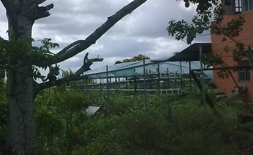 0505201213351.jpg