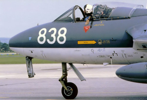 838d.jpg
